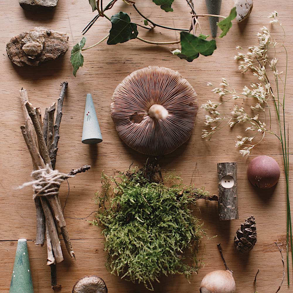 25-243 アドベントカレンダー2025 限定版【数量限定】：おもちゃ：百町森