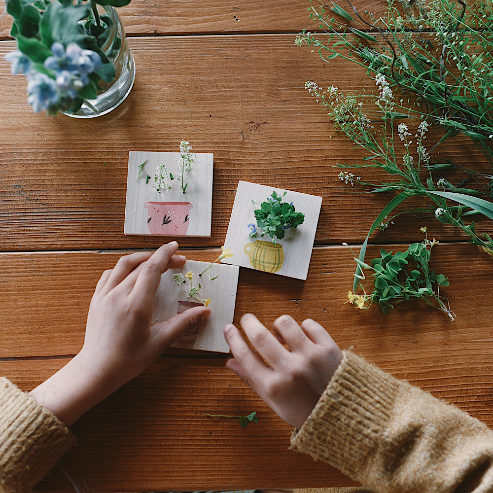 25-243 アドベントカレンダー2025 限定版【数量限定】：おもちゃ：百町森