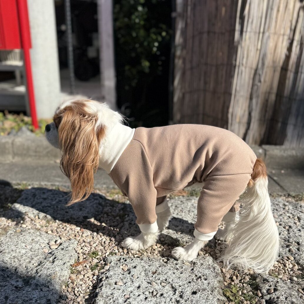 1月新作【キャバスーツ おくるみ2026】抹茶ラテ - INU－CLOSET