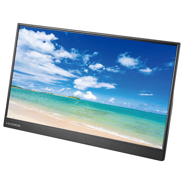 EX-LDC161DBM | 広視野角ADSパネル採用 15.6型フルHD対応モバイル