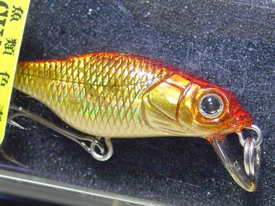 MEGABASS / X-30 MARUKIN (SINKING) | IchibanTackle.com