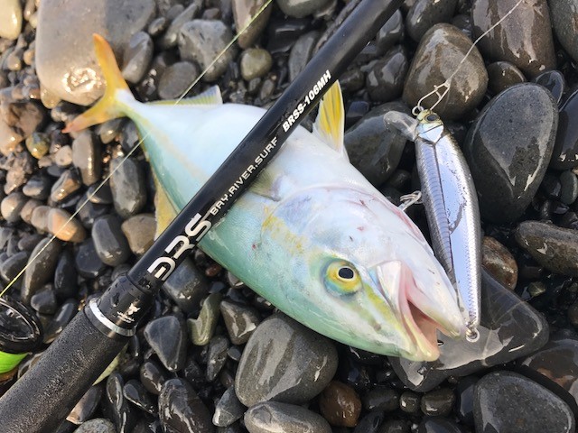 BRSでサーフゲームを満喫！ - SALT WATER 海釣り｜JACKALL｜ジャッカル