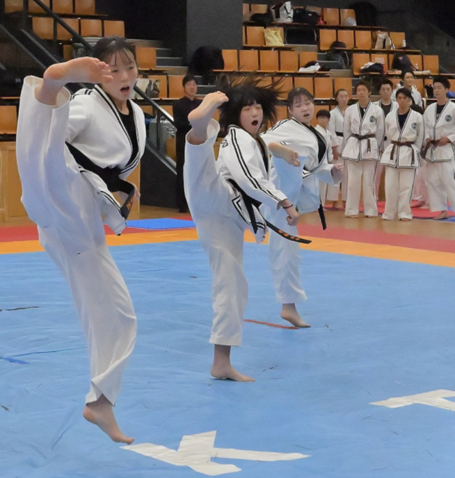 JTA日本テコンドー協会