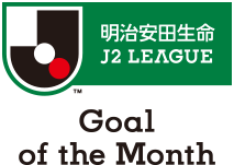 J1受賞者 鹿島アントラーズ 大岩 剛：明治安田生命Jリーグ 月間優秀