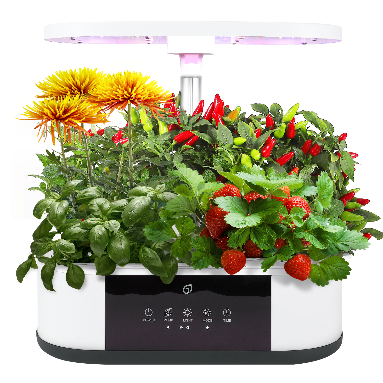 GS1 Mini】 JustSmart 水耕栽培キット 白 液晶パネル タイマー 循環式