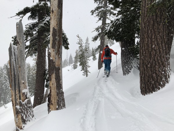 OGASAKA Snowboard WEBサイト Facet