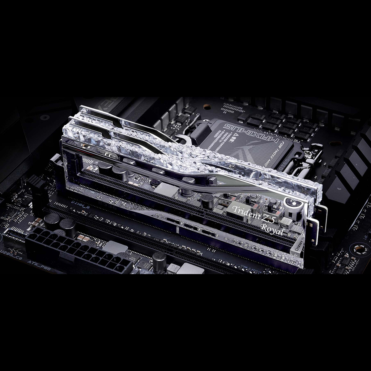 G.SKILL Trident Z5 Royal | 株式会社リンクスインターナショナル