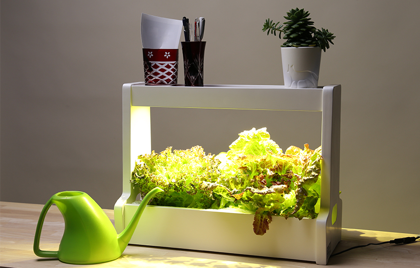 Akarina06 OMA06 | 灯菜 LED水耕栽培器 | おしゃれなインテリア照明店