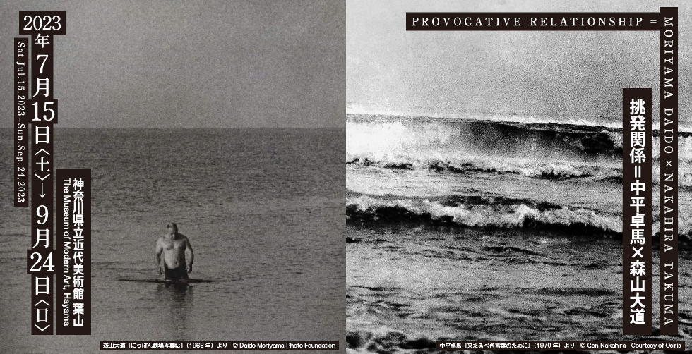 挑発関係＝中平卓馬×森山大道 | 神奈川県立近代美術館