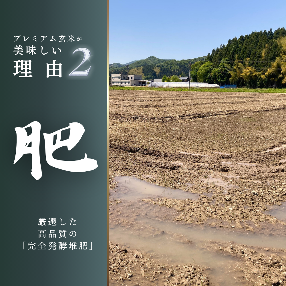 プレミアム玄米(1kg) - 「玄米のマイセン」公式通販サイト