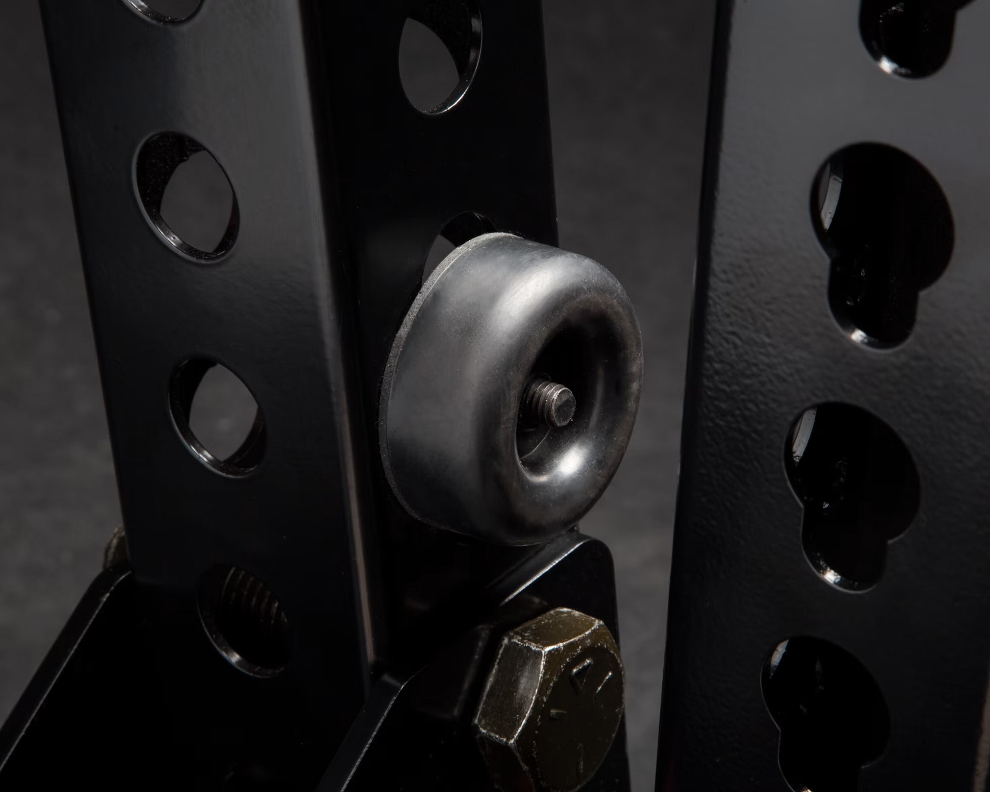 ROGUE モンスター ライノ ベルトスクワット - 独立型 — MBC POWER SHOP