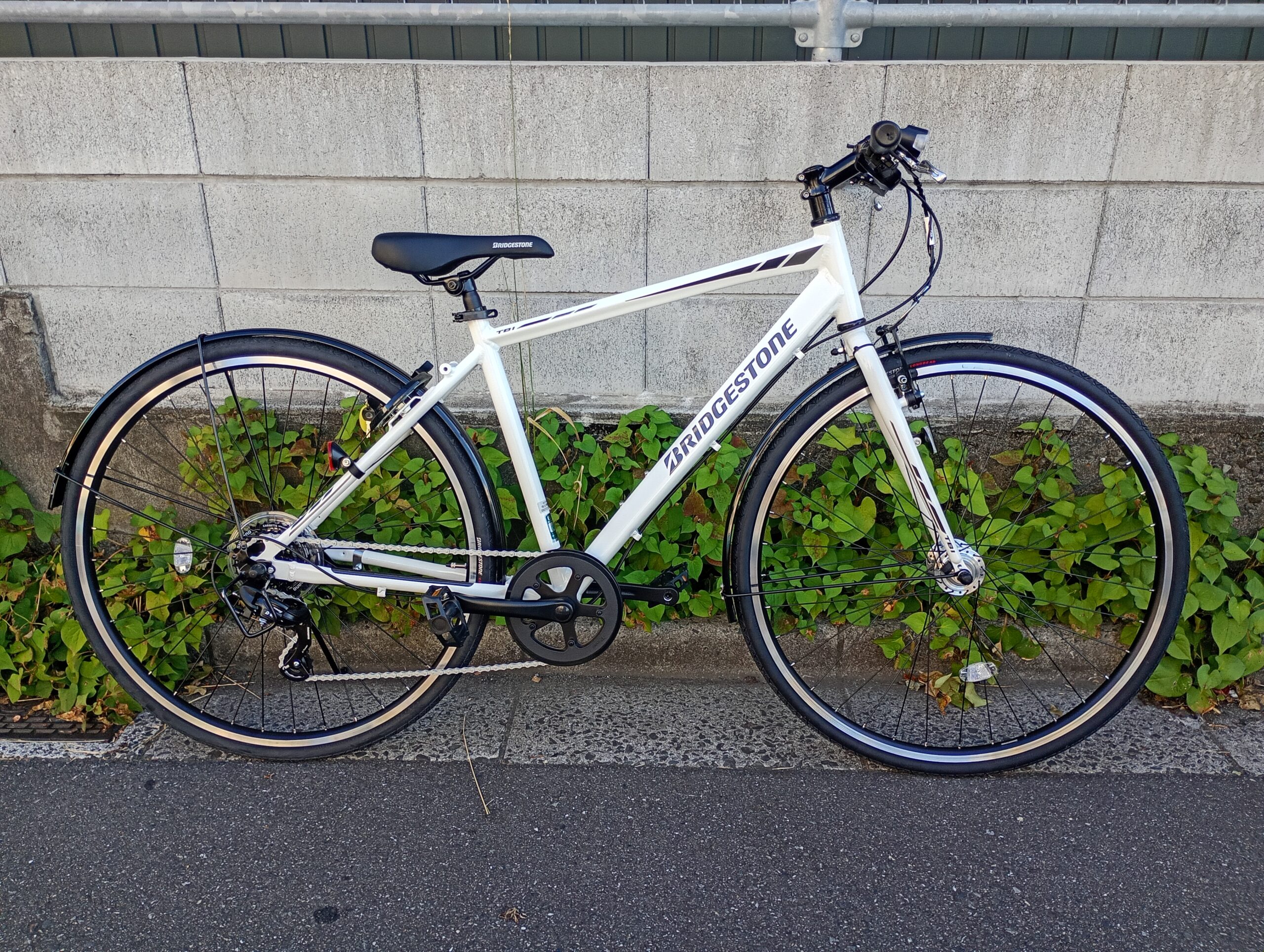 ブリヂストン TB-1 新カラー 登場