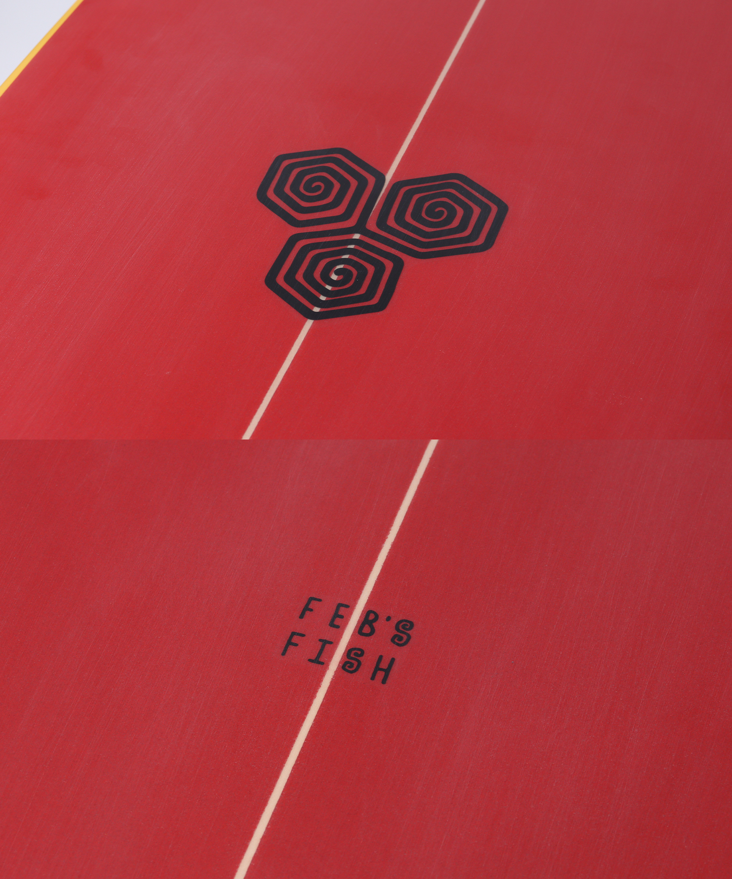 FEBS FISH|CHANNEL ISLANDS