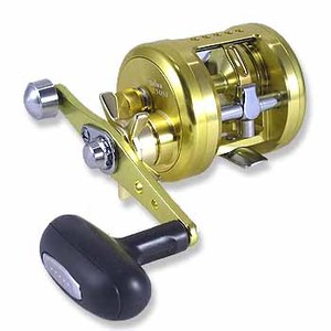 679_1.jpg?20050106130808