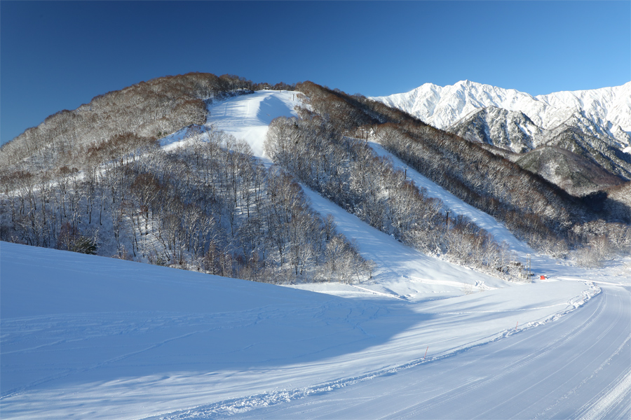 鹿島槍 80cm / 晴 | SKI REPORT | Snownavi - スノーナビ