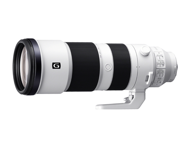 FE 200-600mm F5.6-6.3 G OSS | デジタル一眼カメラα（アルファ） | ソニー