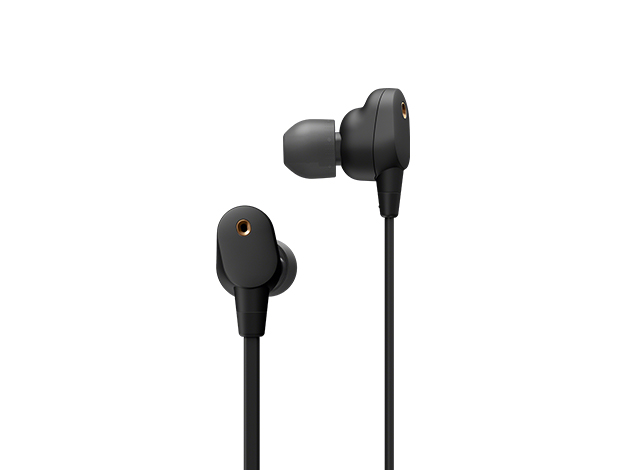 WI-1000XM2 | ヘッドホン | ソニー