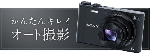 DSC-WX300 特長 : 暗いシーンがだんぜんキレイ | デジタルスチルカメラ