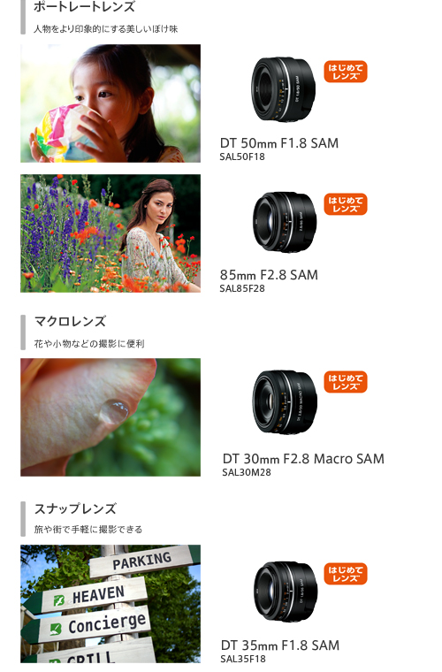 α65 特長 : おすすめレンズ＆アクセサリー | デジタル一眼カメラα