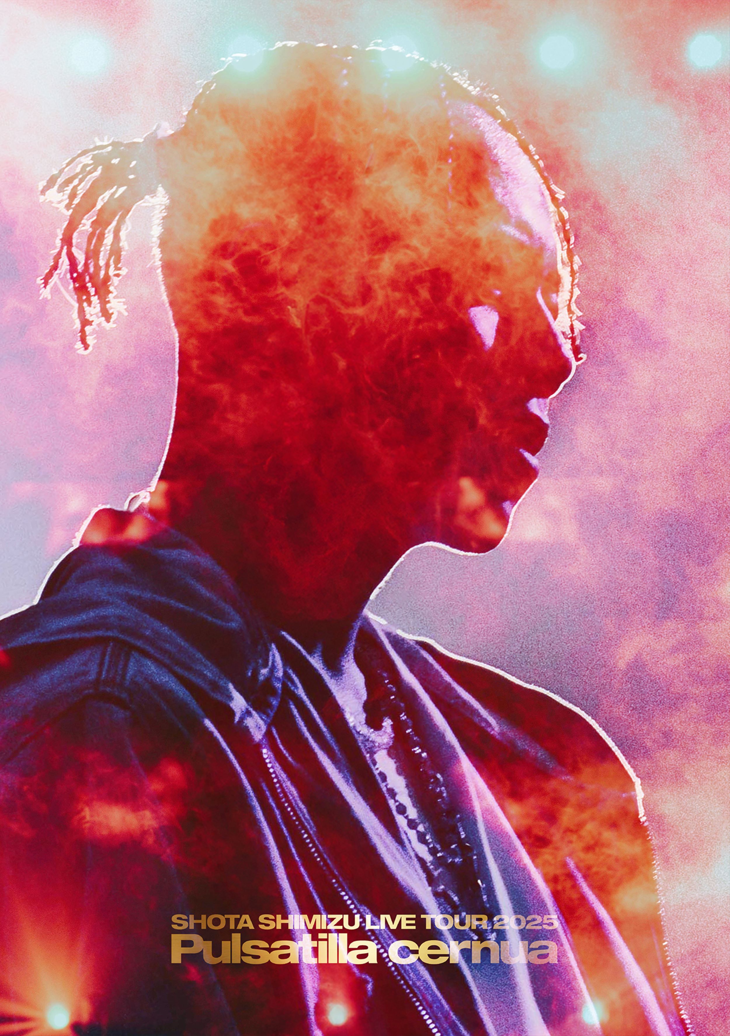 SHOTA SHIMIZU LIVE TOUR 2025 'Pulsatilla cernua'【初回仕様限定盤