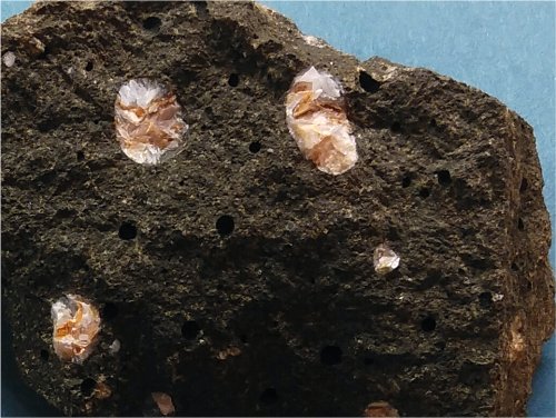 かだいおうち Advanced Course