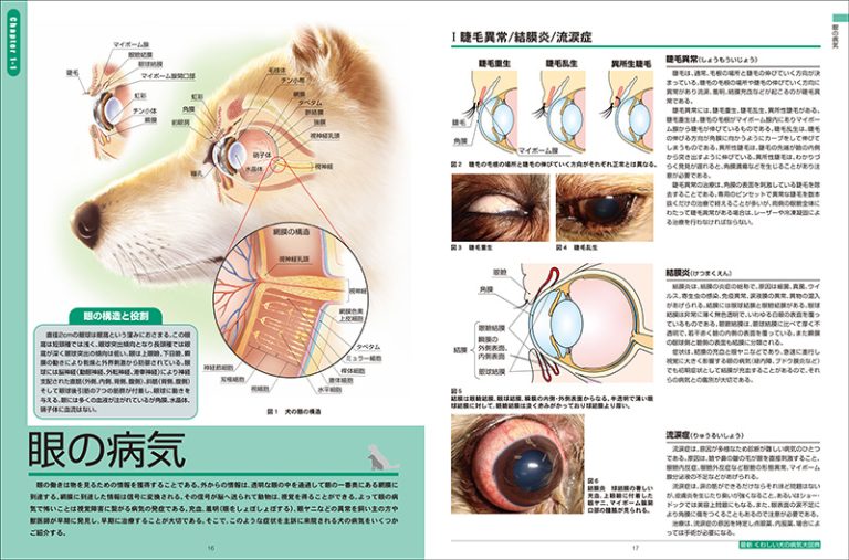 最新 くわしい犬の病気大図典 | 株式会社誠文堂新光社