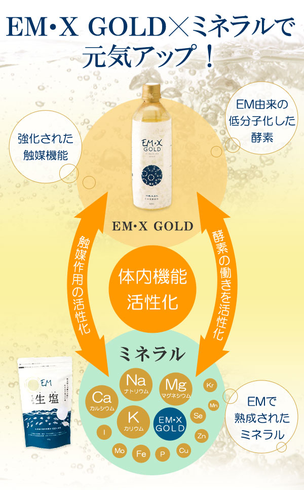 EM・Xゴールド（500ml）【4本セット】【イーエム総合ネット