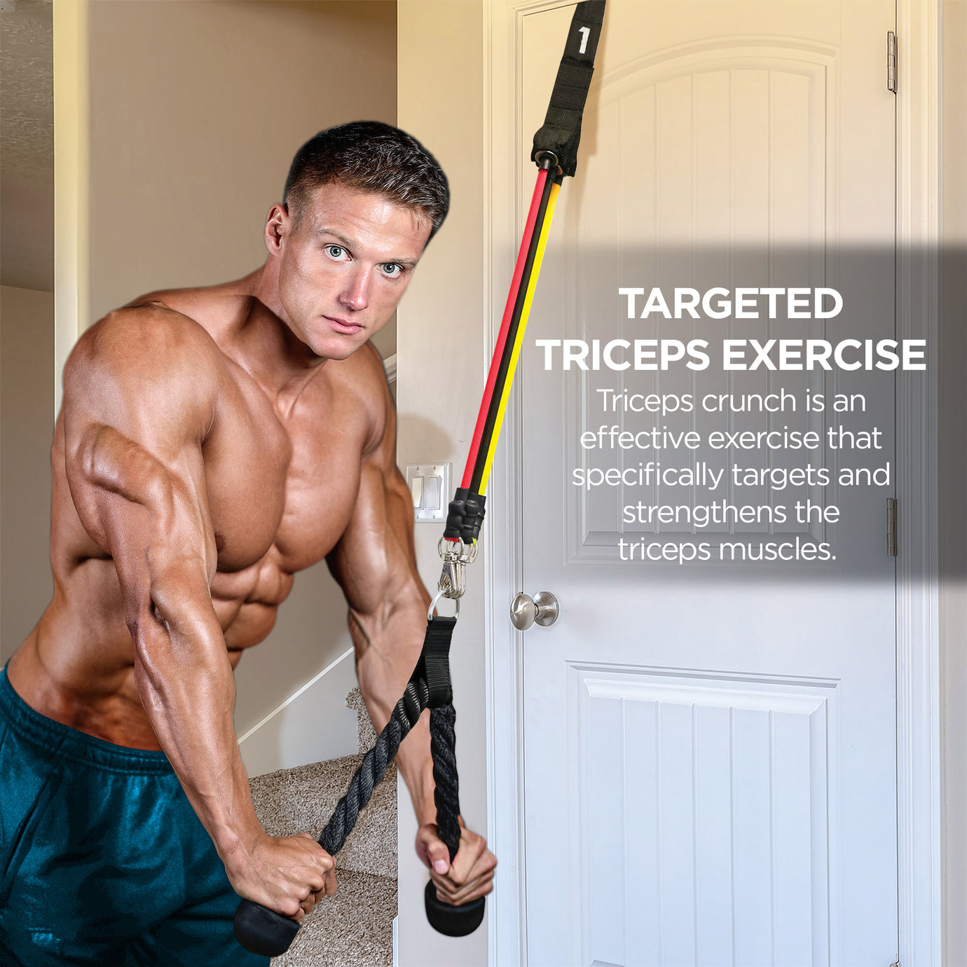 PurAthletics - Triceps Crunch – Zenzation Athletics