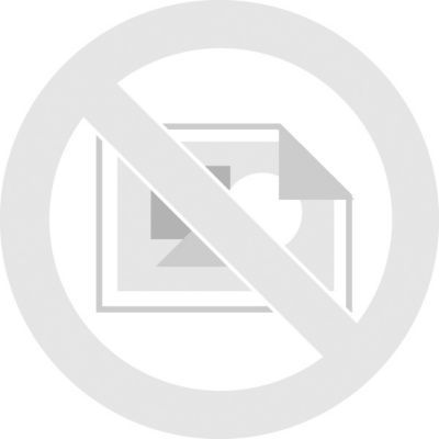 Ninja Max XL AF161 5 lb Electric Air Fryer | Staples