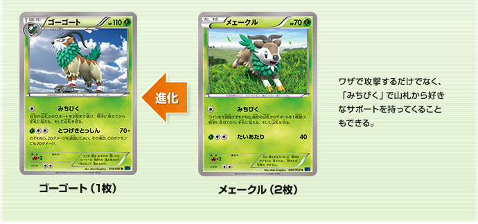 一挙公開！「バトル強化セット 草/闘」 | ポケモンカードゲーム公式