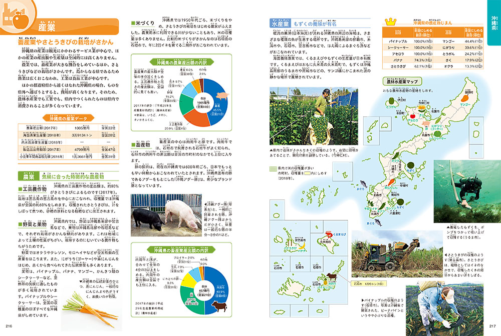 ポプラディア プラス 日本の地理 6｜ポプラディア プラス｜学習｜本を