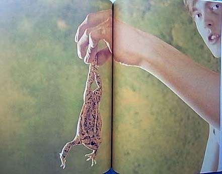 Ryan McGinley Life Adjustment Center ライアン・マッギンリー| 写真