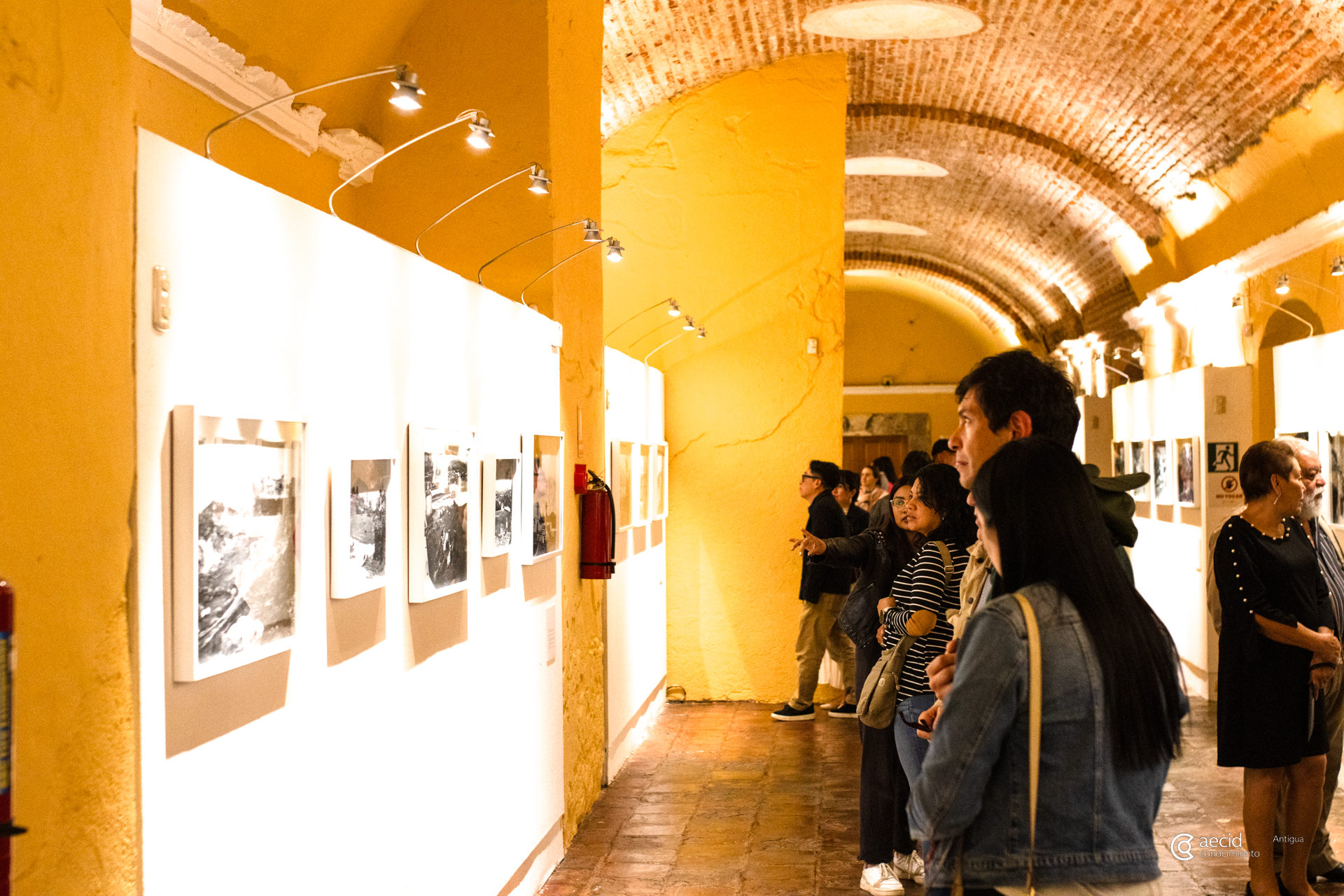 Muybridge.jpg?quality=52