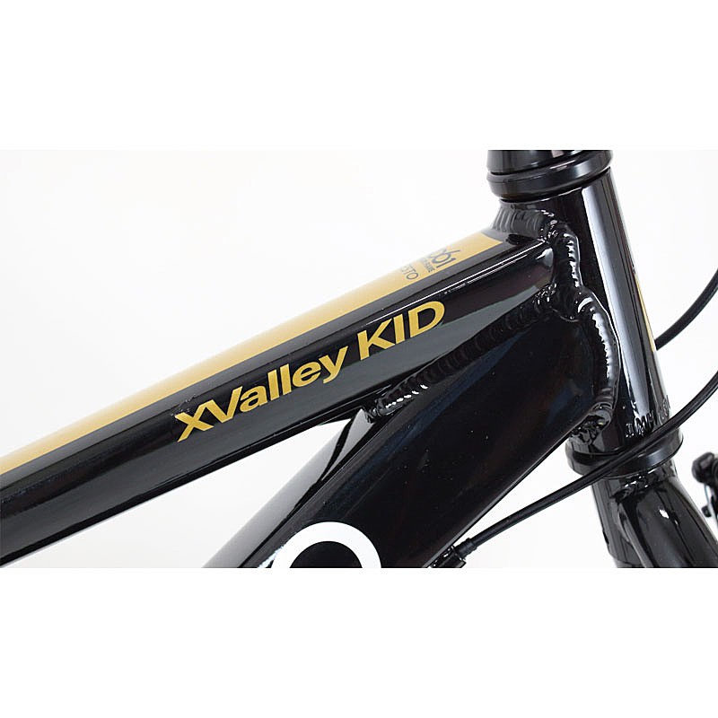 NESTO（ネスト）2021年モデル X-VALLEY KID 22 （クロスバレーキッド22）
