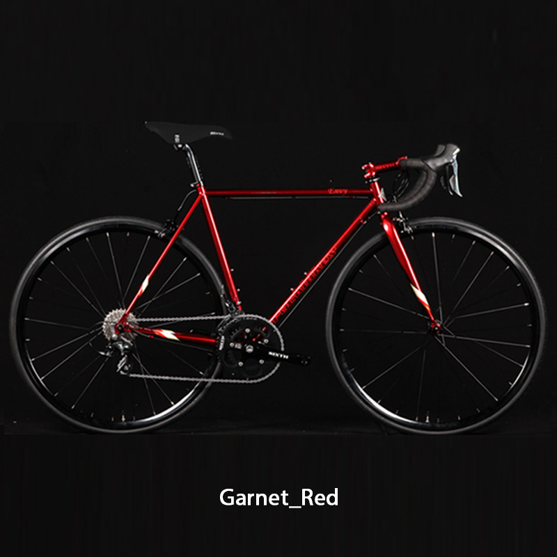 ROCKBIKES（ロックバイクス）ENVY （エンヴィー） TIAGRA