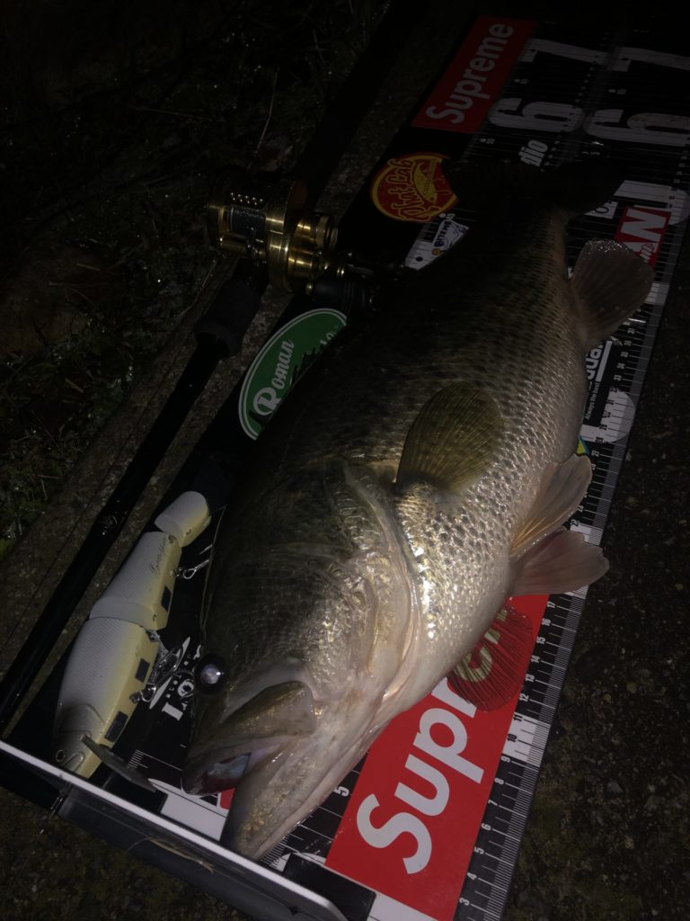 Roman TRICK - RomanMade【ロマンメイド】