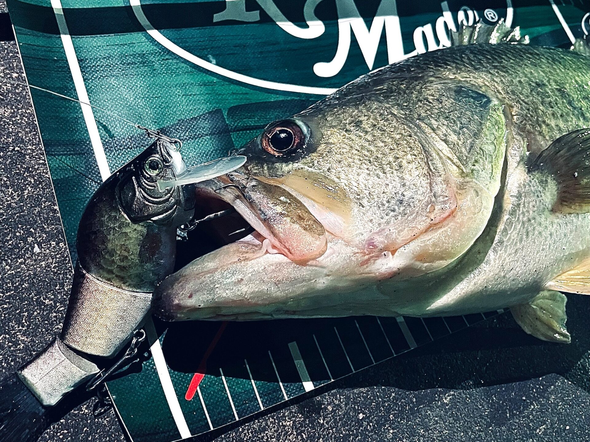 S-QUAD Type-L 販売のお知らせ - RomanMade【ロマンメイド】