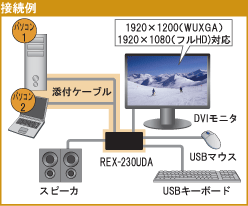パソコン自動切替器 USB接続・DVI/Audio対応（2台用） REX-230UDA