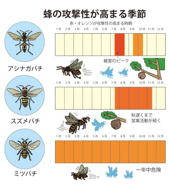蜂に注意 | 労働安全衛生対策 | 林業・木材製造業労働災害防止協会