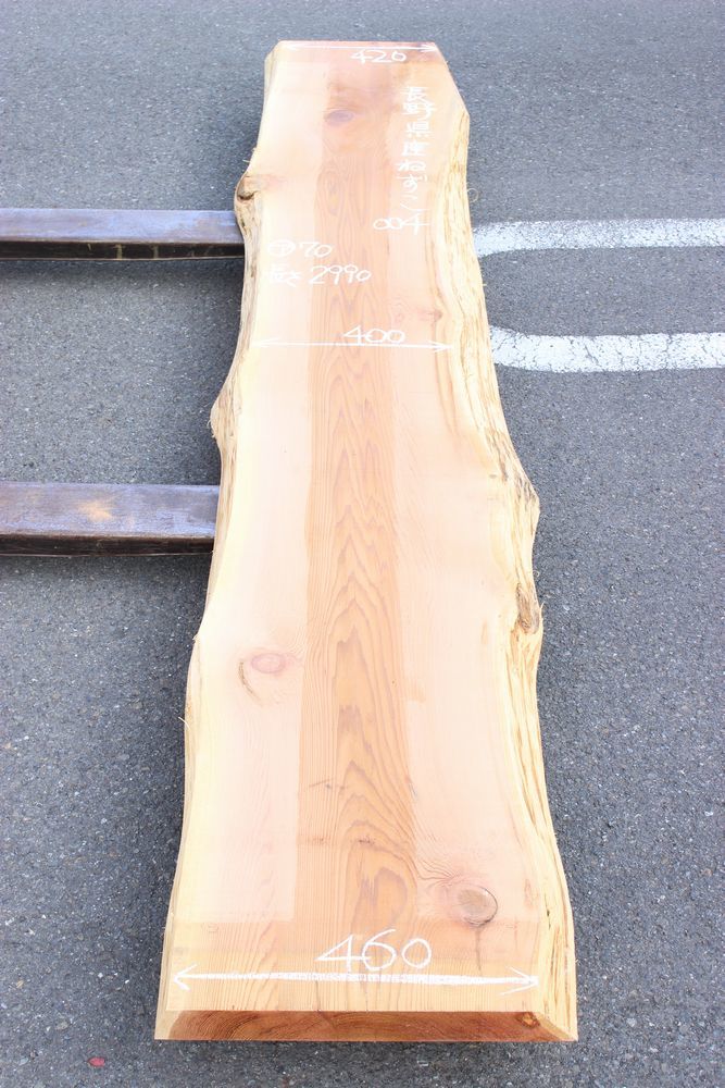 鼠子（ネズコ）-004