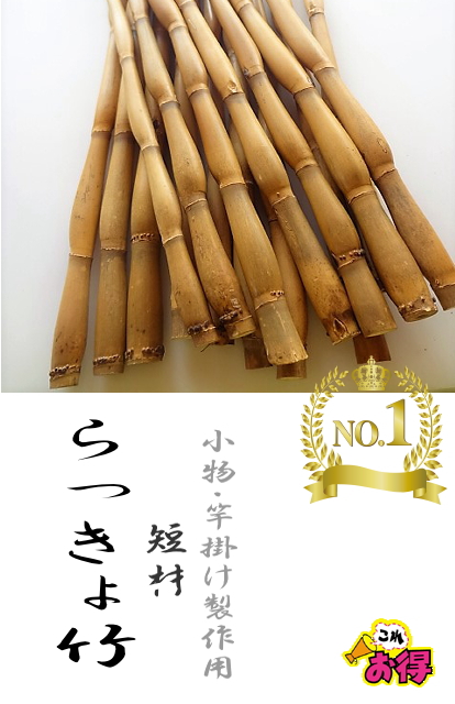 らっきょ竹容姿の珍しい【短材サイズ】釣竿・竿掛け・小物などの製作