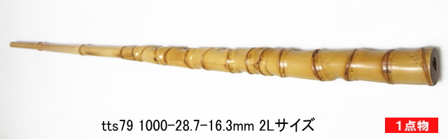 和竿製作用竹材・テトラ穴釣り用・お手頃価格の太いサイズ