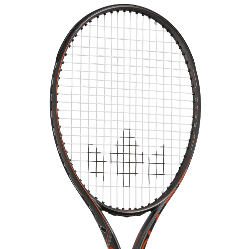 ウインザーオンラインショップダイアデム アクシス 100 ( DIADEM AXIS