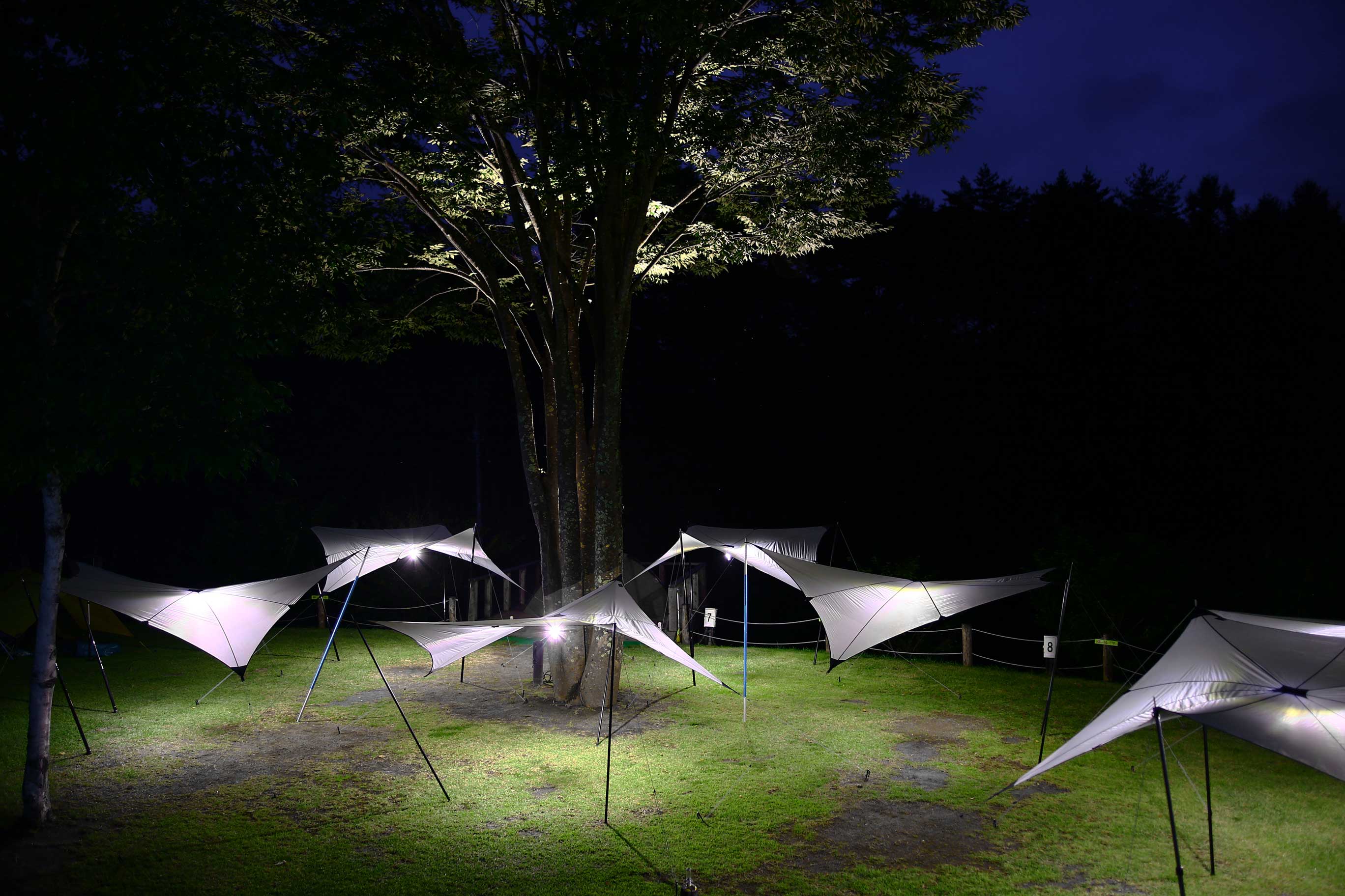 WINDY AND RAINY / TOPページ