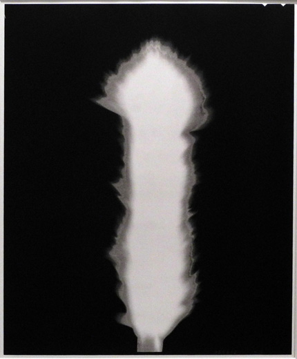 陰翳礼讃、IN PRAISE OF SHADOWS(3)|杉本博司Hiroshi Sugimoto