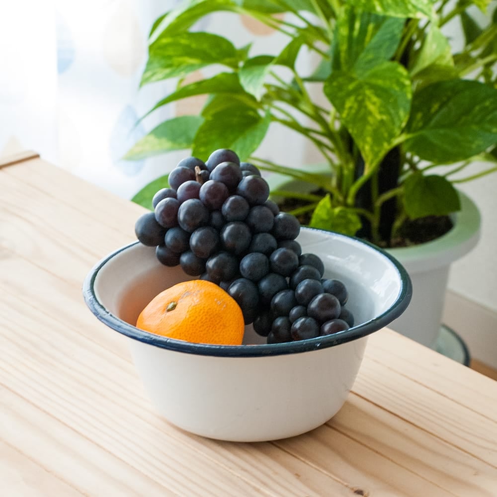 印度琺瑯 アンティーク調のホーロー 多目的ボウル - 外径20cm程度 約