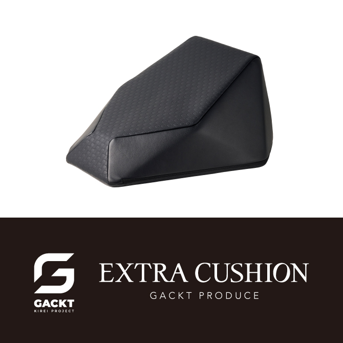 エイム事業部 | AIM-CU11T エクストラクッション