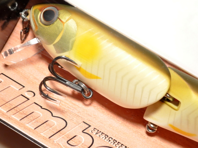 エバーグリーン ティンバーフラッシュJr.：613 マットアユ□ネコポス