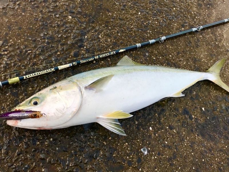 ロッド]ツララ Staccato98 MHSS-HX（スタッカート98 MHSS-HX