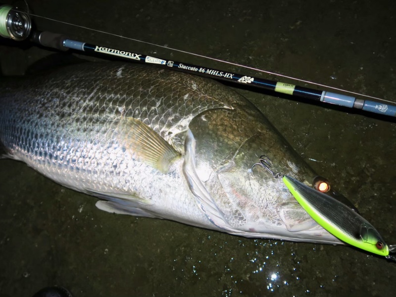 ロッド]ツララ Staccato86 MHLS-HX（スタッカート86 MHLS-HX